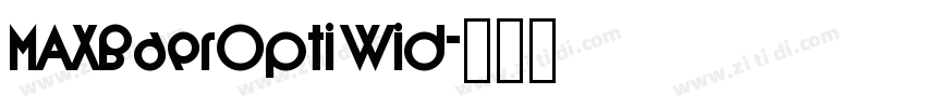 MAXBaerOpti Wid字体转换